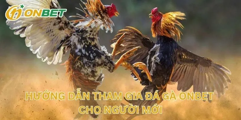 Hướng Dẫn Tham Gia Đá Gà Cho Người Mới